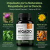 Liver Cleanse Detox Desintoxicante y Reparador para la Limpieza del Hígado - Cardo Mariano - Raíz de Diente de León Salud Hepática I 100% Organico